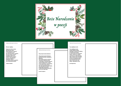 Projekt bez nazwy - 2024-12-01T165711.801.png