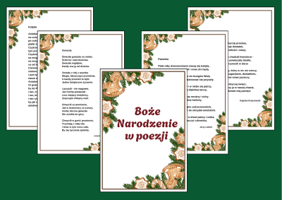 Projekt bez nazwy - 2024-12-01T190904.023.png