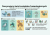 związki frazeologiczne infografika 1..png