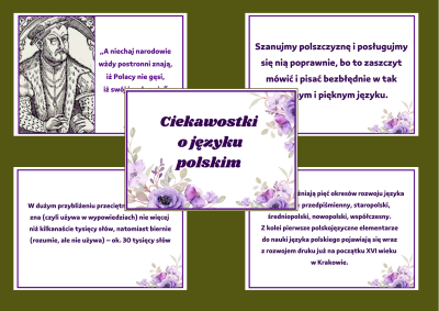 Projekt bez nazwy - 2025-02-11T181605.072.png